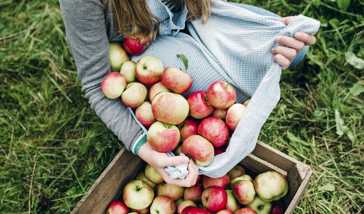 6 beneficios del vinagre de manzana
