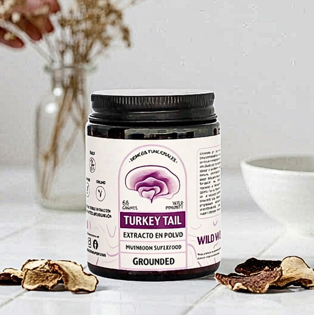 Extracto en Polvo Turkey Tail 65g